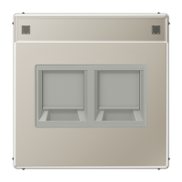 JUNG Плата (фиксация защёлкиванием) с полем для надписи для двух модулей металл нержавеющая сталь