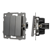Arlight Механизм выключателя трехклавишный непроходной SWT-MK03-PL-GR-V (250V, 10A) (-)