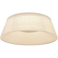 Потолочный светодиодный светильник Globo Crotone 48801C-45