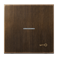 JUNG клавиша  с линзой, латунь Antik