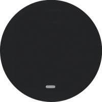 Berker R.1, R.3, R.8 Черный Клавиша с подсветкой