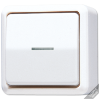 JUNG Выключатель контрольный для накладного монтажа, слоновая кость