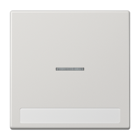 JUNG Клавиша для  выключателя с подсветкой и полем для надписи светло-серая