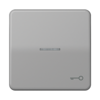 JUNG CD 500/CD plus Серая Клавиша 1-ая с/п с символом КЛЮЧ