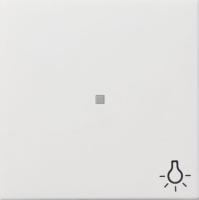 Gira Клавиша с пиктограммой "Свет" и контрольным окошком