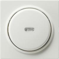 Gira Выключатель с клавишей 2-полюсный с окошком