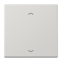 JUNG Клавиша для кнопки BCU, светло-серый