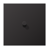 JUNG LS1912 Dark Центральная плата, 1 пост, 1 тумблер, конус; метал. исполнение