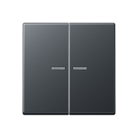 JUNG Матовый антрацит Клавиши для сдвоенных выключателей; термопласт; с окошком