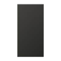 JUNG Антрацит (лак) Накладка