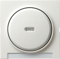 Gira Одинарная клавиша с полем для надписи и подсветкой