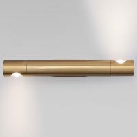 Настенный светильник 40161 LED латунь Eurosvet Tybee