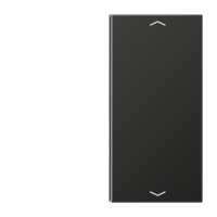 JUNG клавиша для выключателя 2 группы в сборе