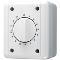JUNG Выключатель для накладного монтажа с часовым механизмом