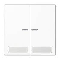 JUNG Клавиши для сдвоенной кнопки BCU;  поле для надписи, и индикатор