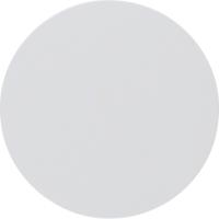 Berker R.1, R.3, R.8 Полярно-белый Клавиша 1-ая