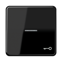 JUNG CD 500/CD plus Черная Клавиша 1-ая с/п с символом КЛЮЧ