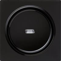 Gira Клавиша с подсветкой