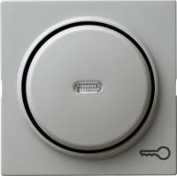 Gira Клавиша с пиктограммой "ключ"