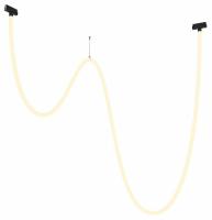 Трековый подвесной светильник Technical TR101-2-100W3K-B Maytoni Tau