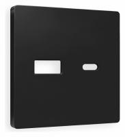 Лицевая панель ALFA (Черный матовый) для розетки 2USB тип A+C QUANT AP8110