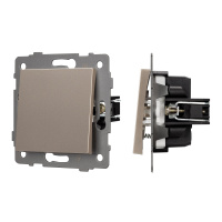 Arlight Механизм выключателя одноклавишный самовозвратный SWT-MKR1-PL-GD-V (250V, 10A) (-)