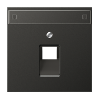 JUNG LS 990 Антрацит Накладка 1-ой наклонной ТЛФ/комп розетки с полем для надписи