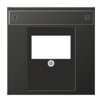 JUNG Крышка для ТАЕ гнезда; антрацит