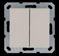 Jasmart Выключатель двухклавишный проходной 10A 250V~ с накладкой, цвет Тауп