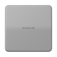 JUNG CD 500/CD plus Серая Клавиша 1-ая с/п