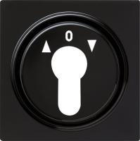 Gira Накладка выключателя с ключом