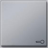 Gira Клавиша с пиктограммой "ключ"