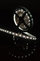 Светодиодная лента SWG 14,4W/m 60LED/m 5050SMD холодный белый 5M 001067