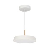 Подвесной светодиодный светильник Arlight Sp-Elegant-R300-17W Warm3000 033914