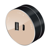 Systeme Electric MultiTrack Песочный Розетка 2хUSB (тип А+С) 18Вт, 5В/3А