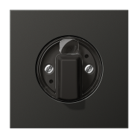 JUNG Антрацит Накладка поворотного механизма