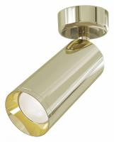 Потолочный светильник C017CW-01G Maytoni Focus