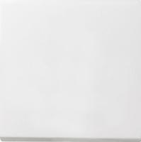 Gira F100 Бел глянц Клавиша 1-ая