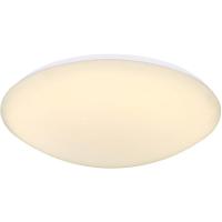 Потолочный светодиодный светильник Globo Atreju I 48363-24C