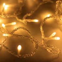 Arlight Светодиодная гирлянда ARD-STRING-HOME-5000-CLEAR-50LED-STD WARM (230V, 3.5W) (Ardecoled, IP20)