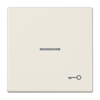 JUNG Клавиша для выключателя с символом «Ключ», слоновая кость