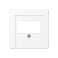 JUNG A Flow/A 550 Белый матовый Накладка на USB зарядные устройства и TAE-розетки; с видимым винтом