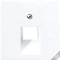 JUNG A 500 Шампань Накладка 1-ой наклонной ТЛФ/комп розетки