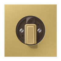 JUNG Накладка поворотного механизма классик