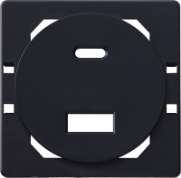 Donel Лицевая панель для USB зарядного устройства A+C, черный, серия N96 Collect, DTP28628