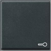 Gira TX 44 Антрацит Клавиша с пиктограммой "ключ"