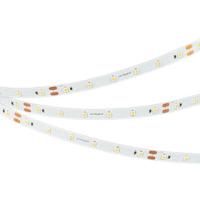 Arlight Лента NT-A60-8mm 24V Day5000 (4.8 W/m, IP20, 3528, 5m) (Открытый)