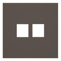 Лицевая панель для двойной информационной розетки, капучино (35442 CP)