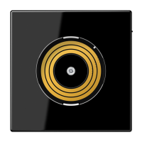 JUNG Центральная плата питания, чёрный