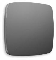 Лицевая панель OMEGA (Антрацит серый) заглушка для суппорта QUANT OP6660